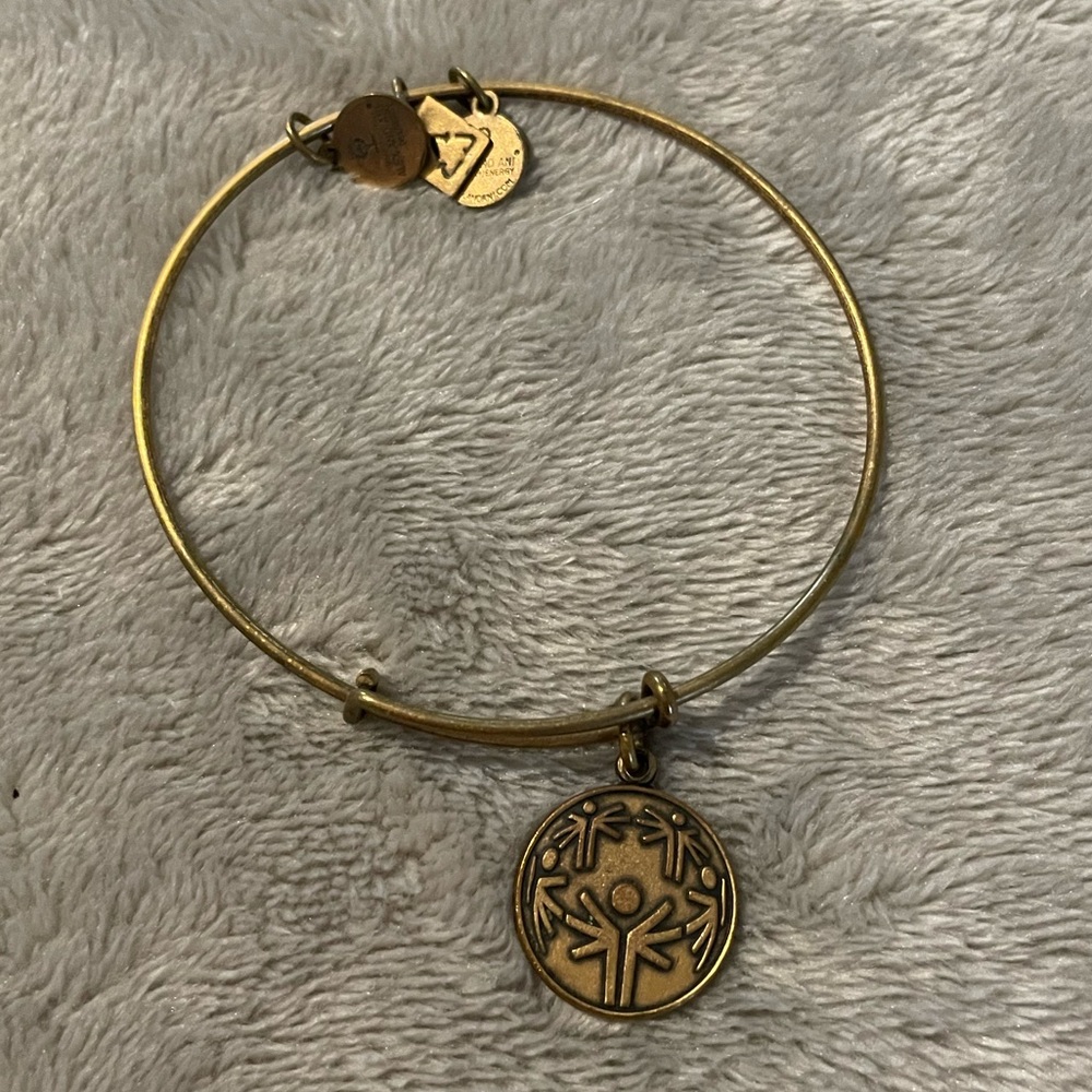ALEX and ANI